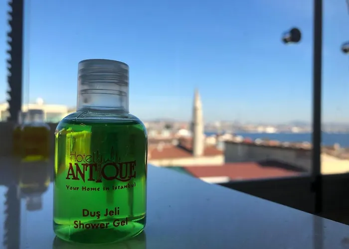 Antique Hotel Istanbulská provincie